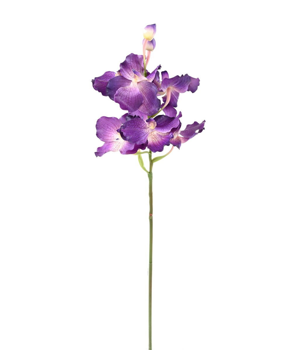Kunstlik VANDA ORHIDEE