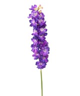 Kunstlik DELPHINIUM