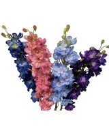 Kunstlik DELPHINIUM