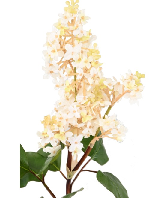 Artificial LILAC 82