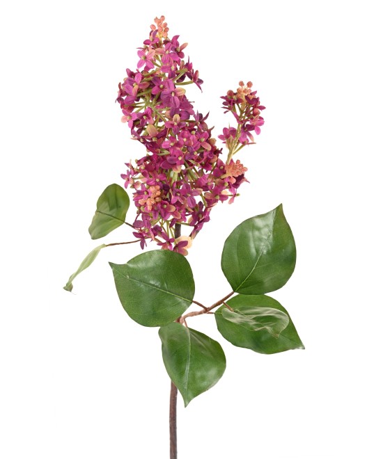 Artificial LILAC 82