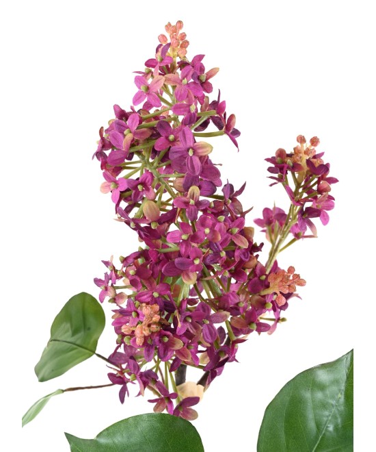 Artificial LILAC 82