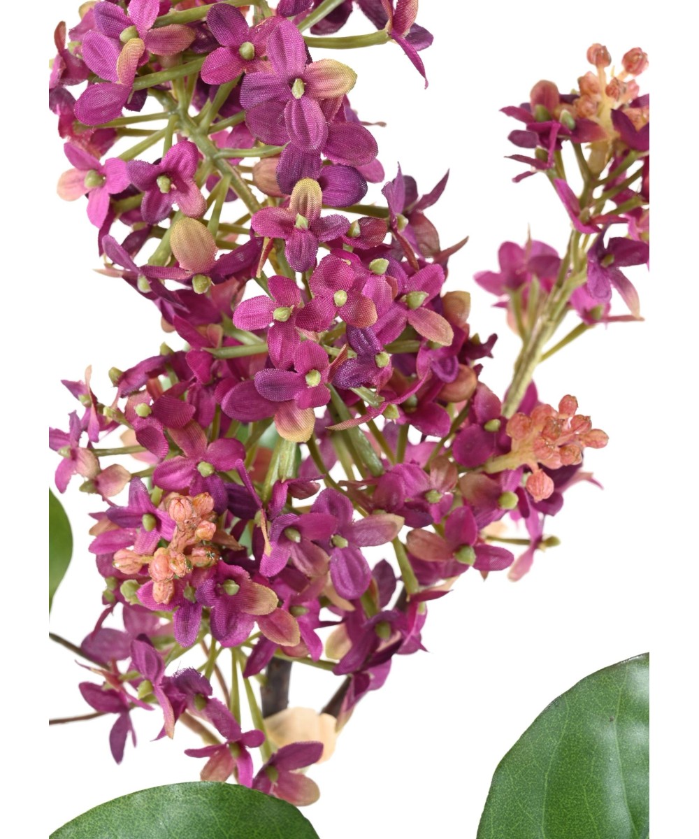 Artificial LILAC 82