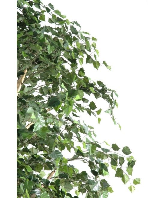Artificial BIRCH TREE