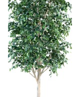 Artificial BIRCH TREE