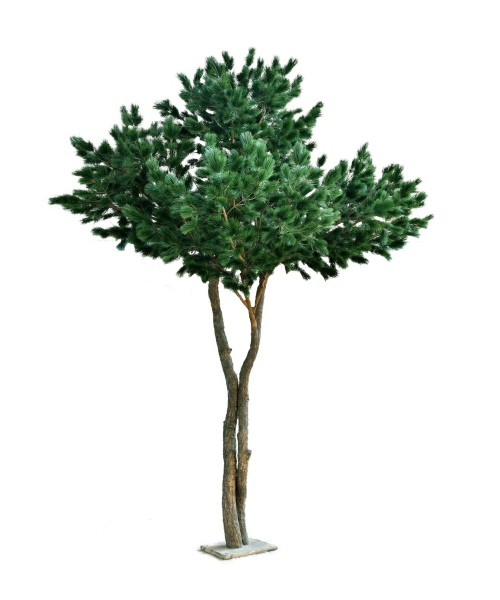 Artificial MARITIME Pine 430