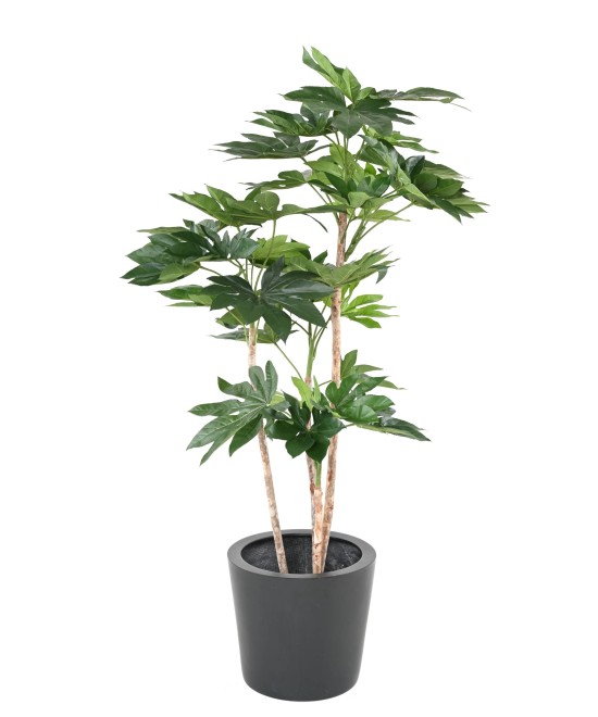 Kunstlik jaapani puu (FATSIA JAPONICA)