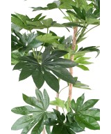 Kunstlik jaapani puu (FATSIA JAPONICA)