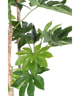 Kunstlik jaapani puu (FATSIA JAPONICA)