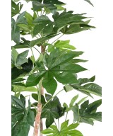 Kunstlik jaapani puu (FATSIA JAPONICA)