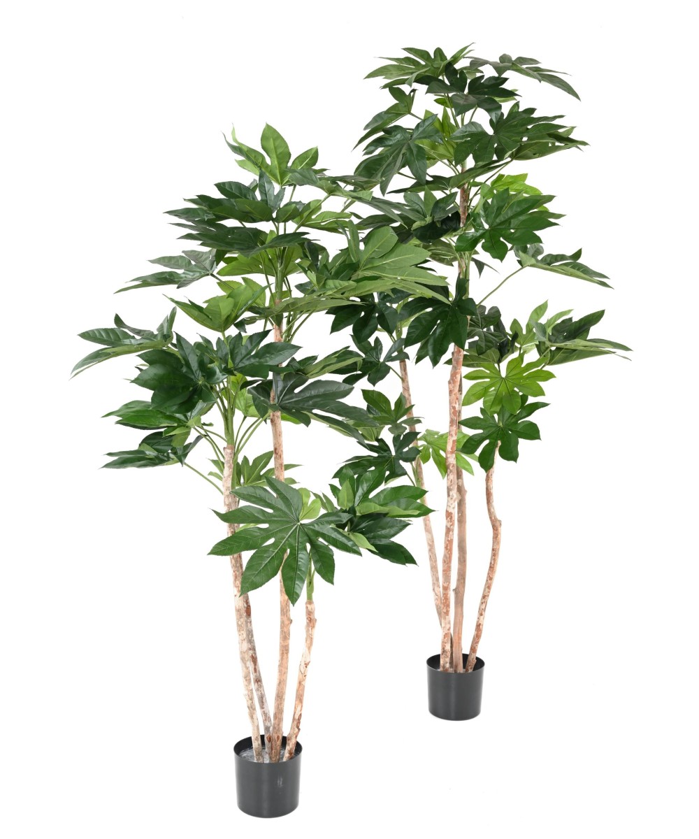Kunstlik jaapani puu (FATSIA JAPONICA)