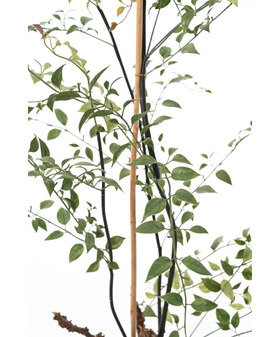 Artificial HONEYSUCKLE 100