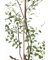 Artificial HONEYSUCKLE 100
