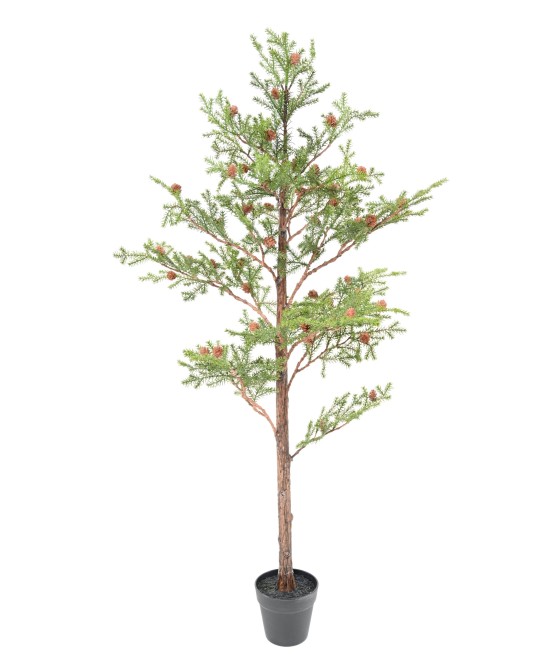 Kunstkuusk PICEA RUBENS 125