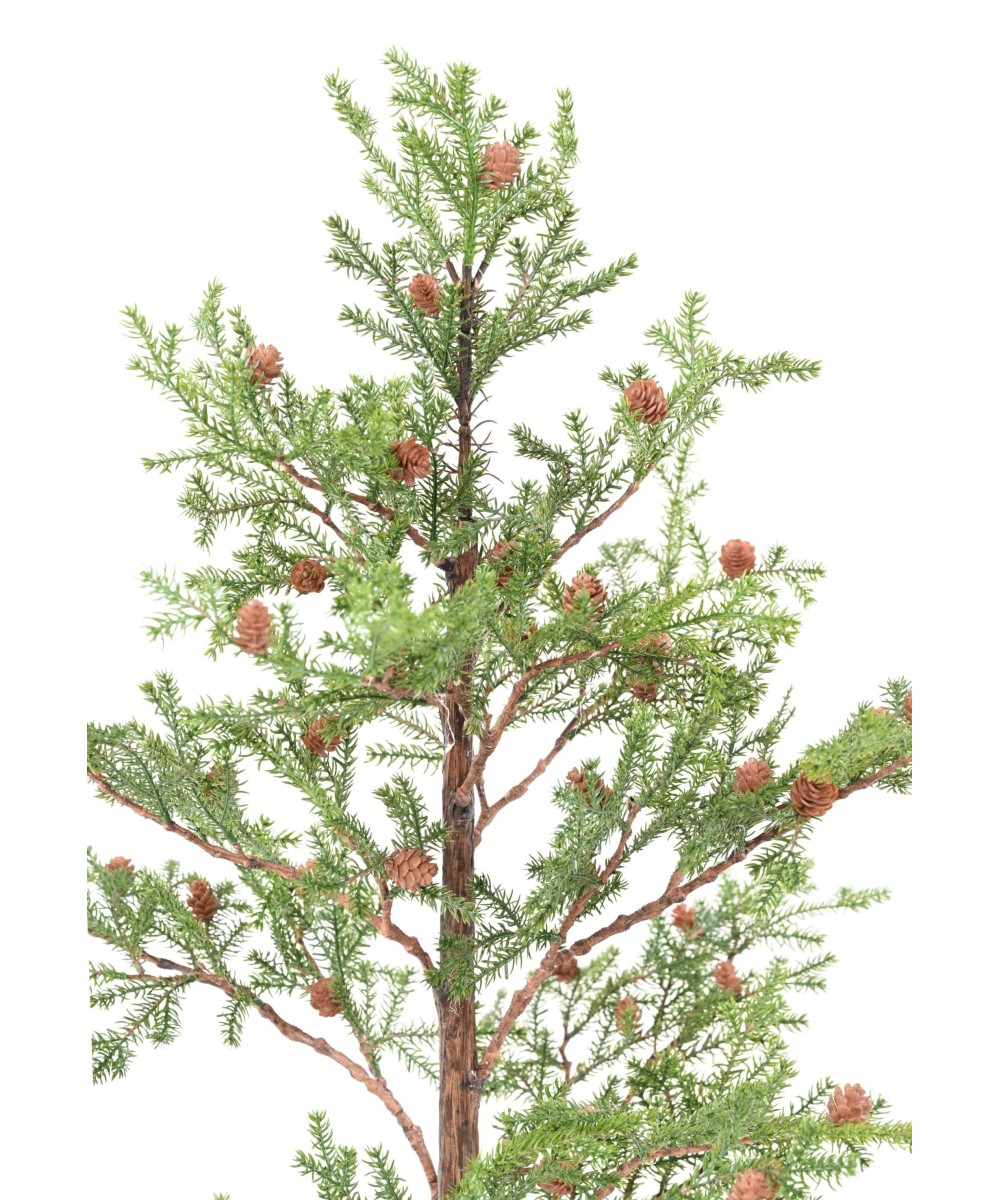 Kunstkuusk PICEA RUBENS 125