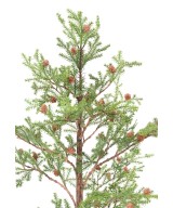 Artificial Spruce Tree PICEA RUBENS 125