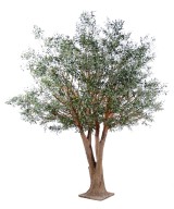 Artificial olive TREE