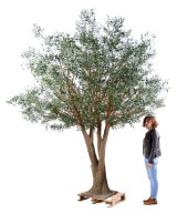 Artificial olive TREE
