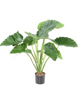 Kunstalokaasia CALIDORA