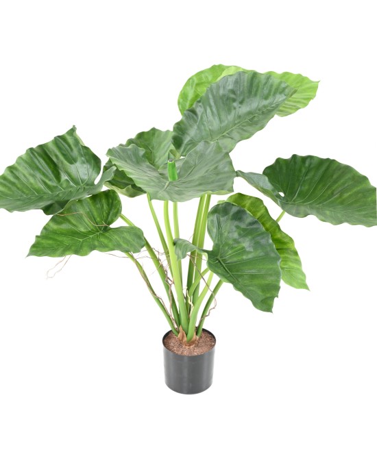 Kunstalokaasia CALIDORA