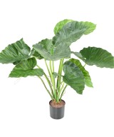 Kunstalokaasia CALIDORA