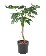 Kunstfilodendron MONSTERA T