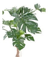 Kunstfilodendron MONSTERA T