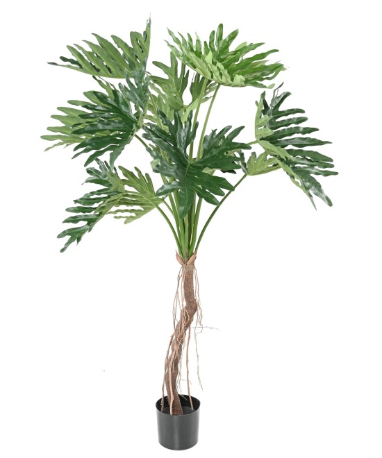 Kunstlik filodendron 'Selloum' T