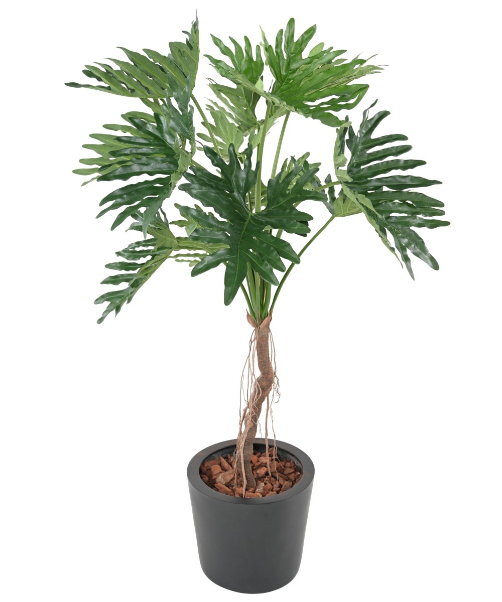 Kunstlik filodendron 'Selloum' T