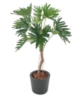 Kunstlik filodendron 'Selloum' T