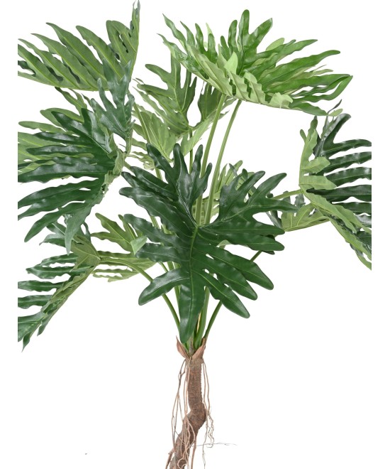 Kunstlik filodendron 'Selloum' T
