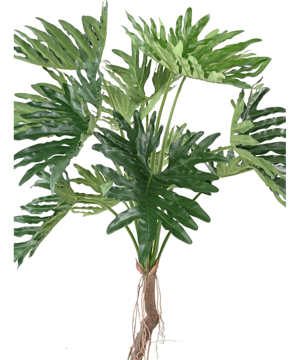 Kunstlik filodendron 'Selloum' T