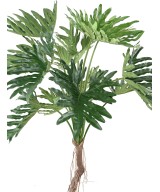 Kunstlik filodendron 'Selloum' T