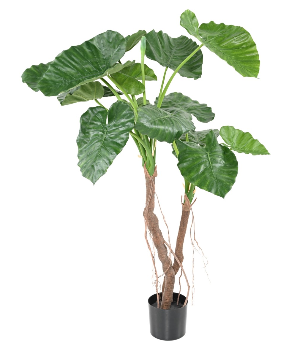 Kunstalokaasia CALIDORA 2T