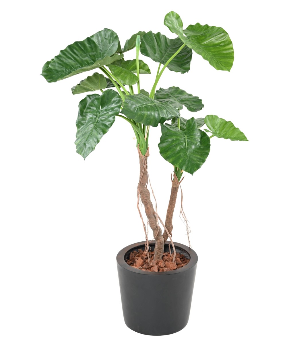 Kunstalokaasia CALIDORA 2T