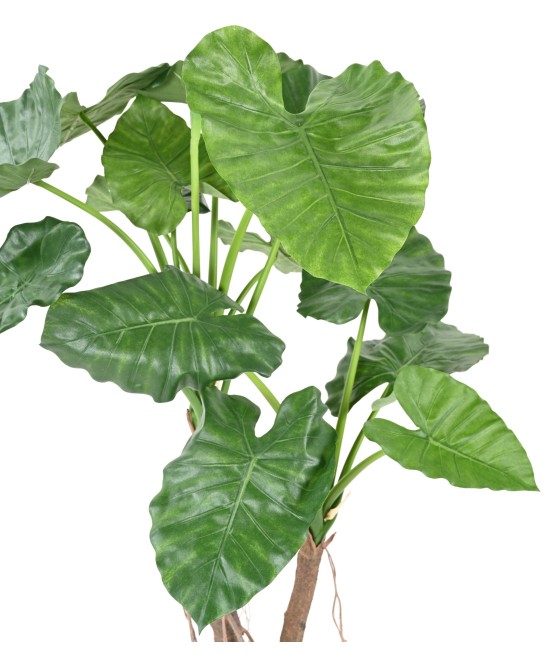Kunstalokaasia CALIDORA 2T