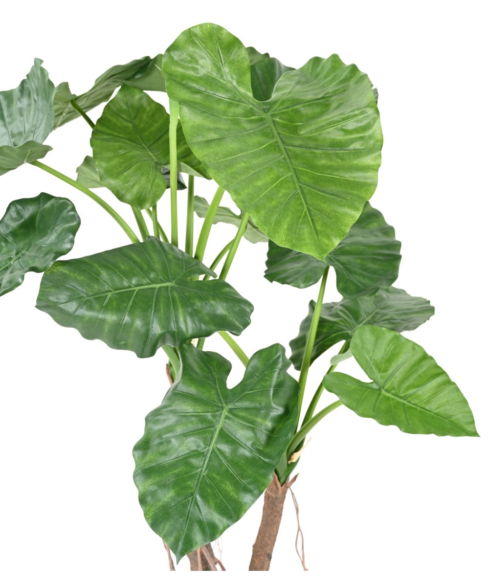 Kunstalokaasia CALIDORA 2T
