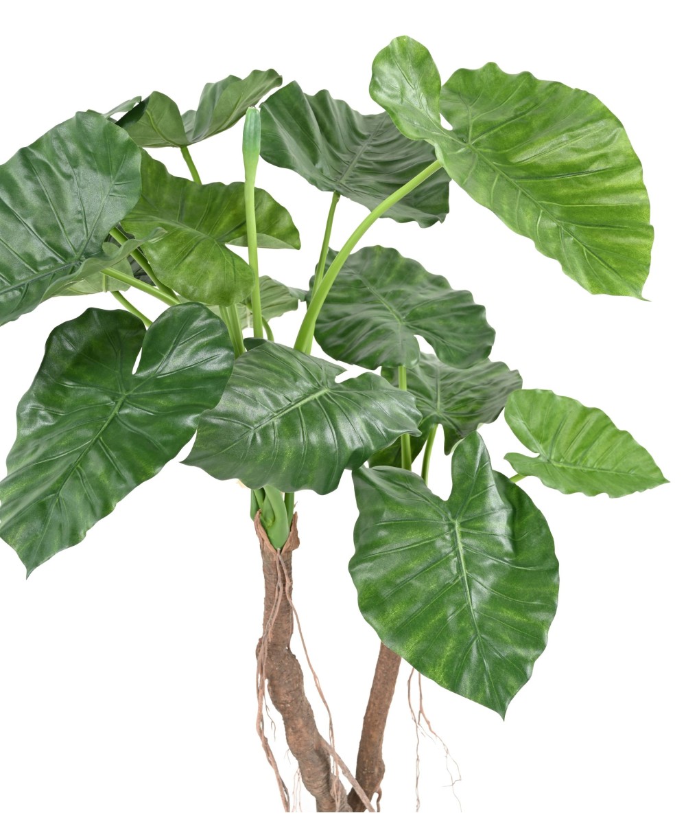 Kunstalokaasia CALIDORA 2T