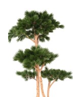 Artificial PINE MULTIPLE S
