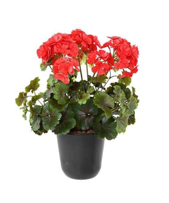 Artificial GERANIUM UV
