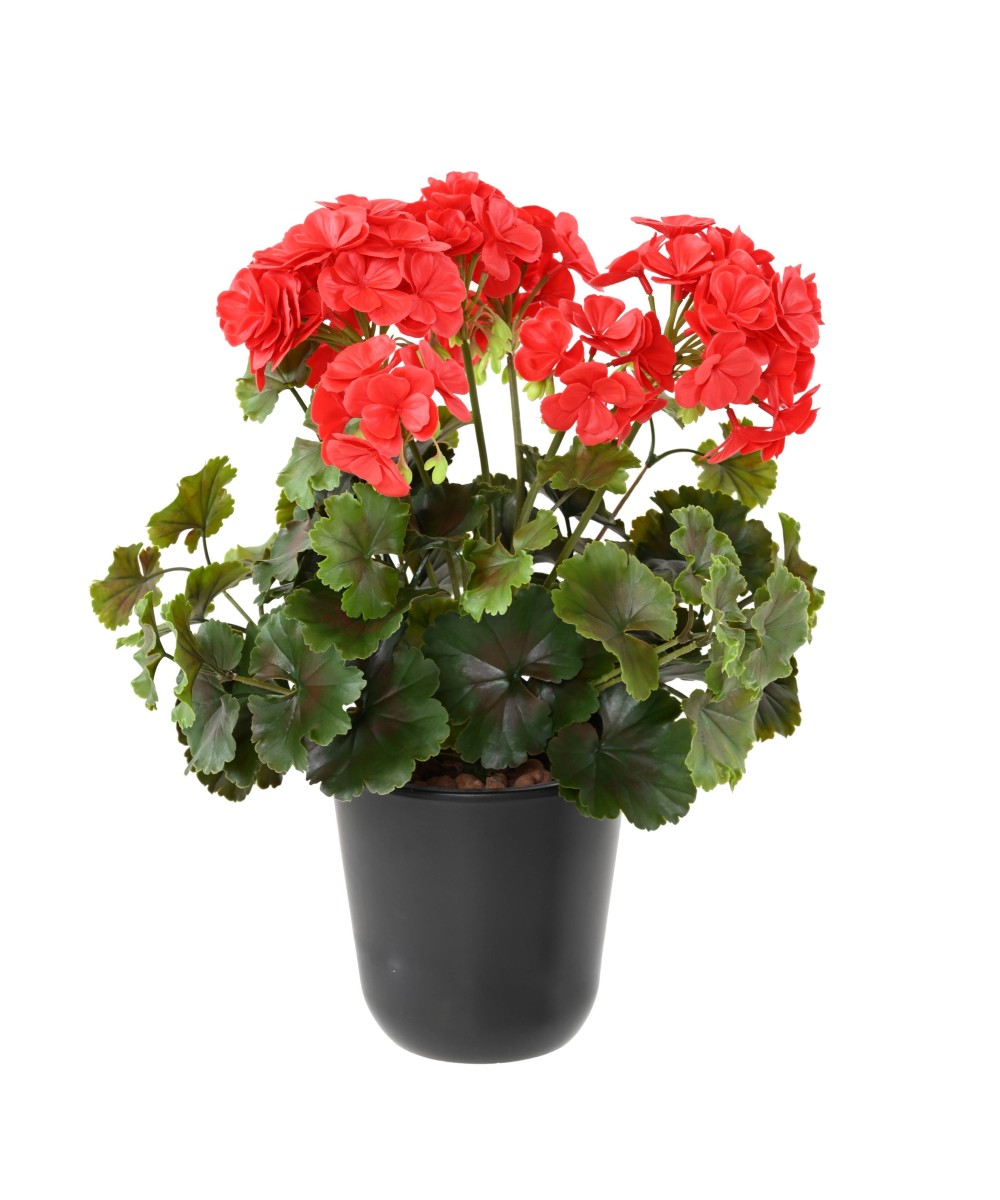 Artificial GERANIUM UV