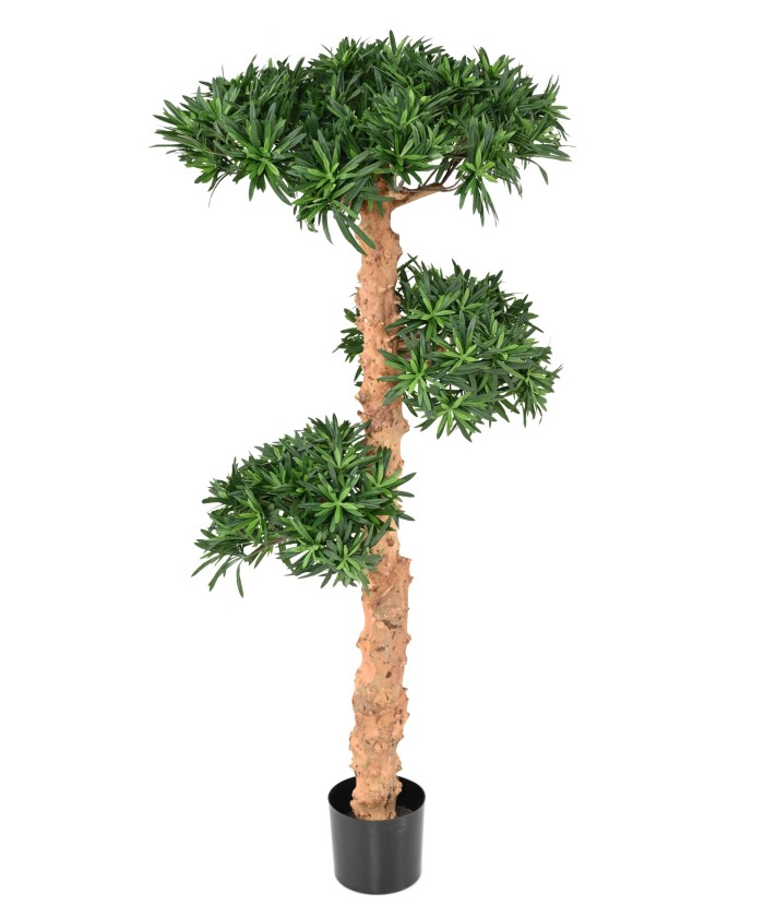 Artificial PODOCARPUS CLOUD TREE