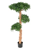 Artificial PODOCARPUS CLOUD TREE