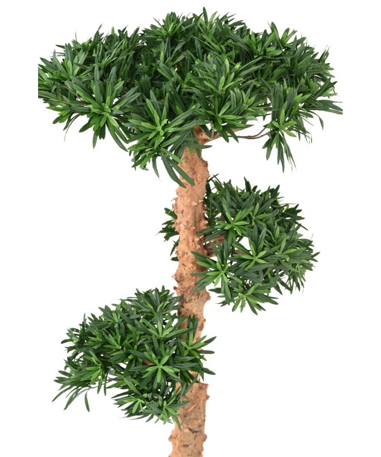 Kunstlik pilvepuu Podocarpus