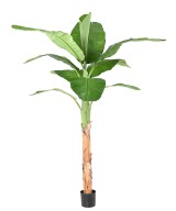 Artificial BANANA TREE ROYAL