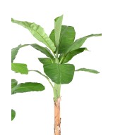 Artificial BANANA TREE ROYAL
