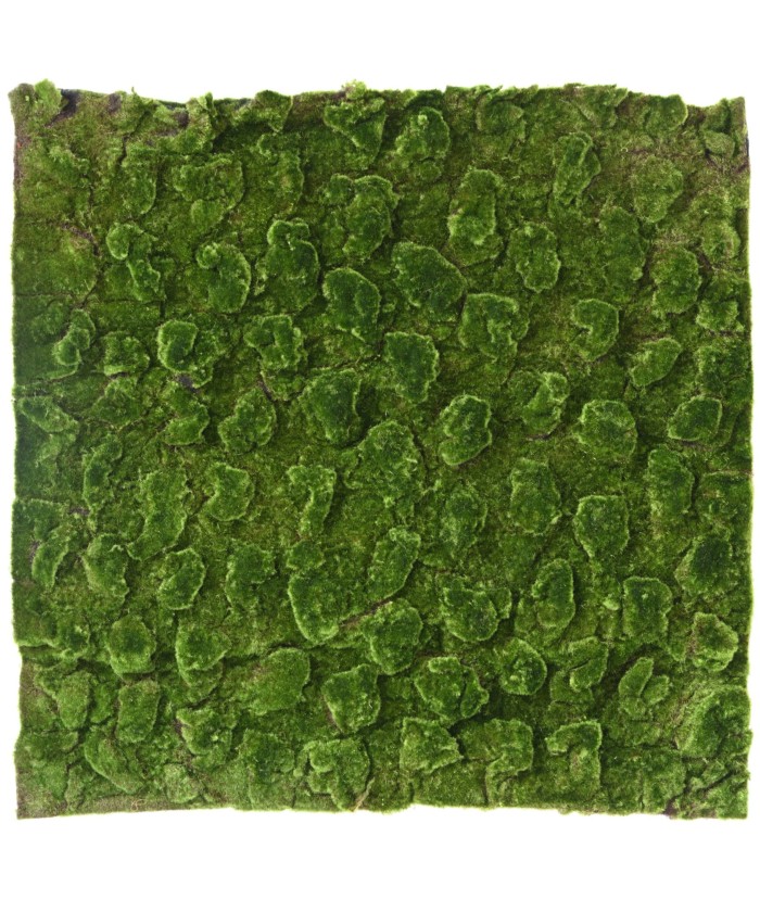 Kunstlik sammal Uus seinapaneel 100*100