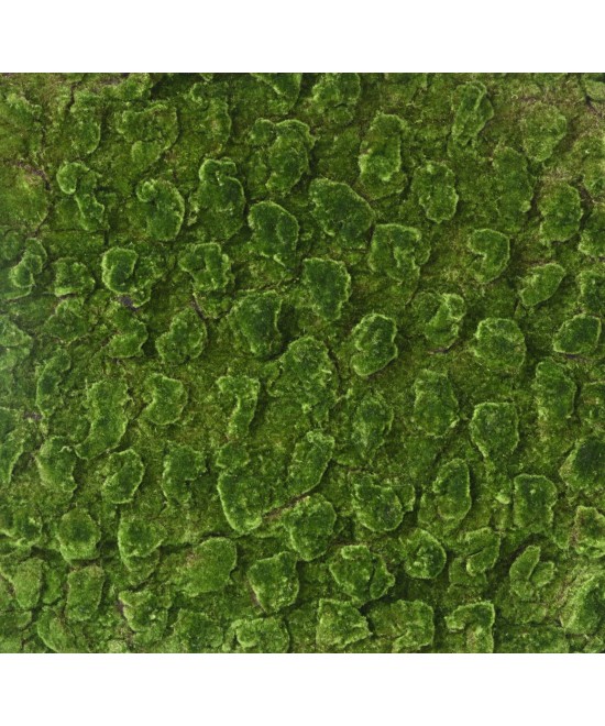 Artificial MOSS New WALL PANEL 100*100