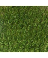 Artificial MOSS New WALL PANEL 100*100