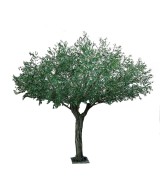 Artificial OLIVE TREE UMBRELLA 440 UV
